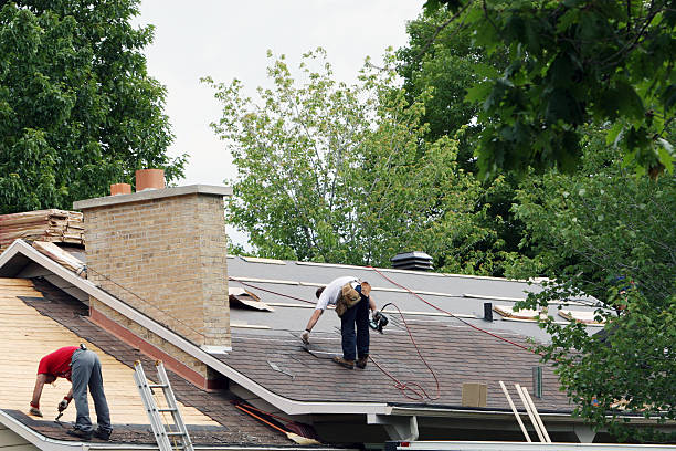 Best Roof Gutter Cleaning  in Fair Oaks, GA